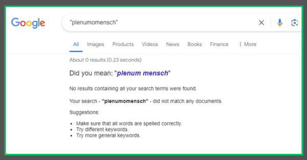 Plenumomensch Web Search Result 30 June 2024 Polyonom Page